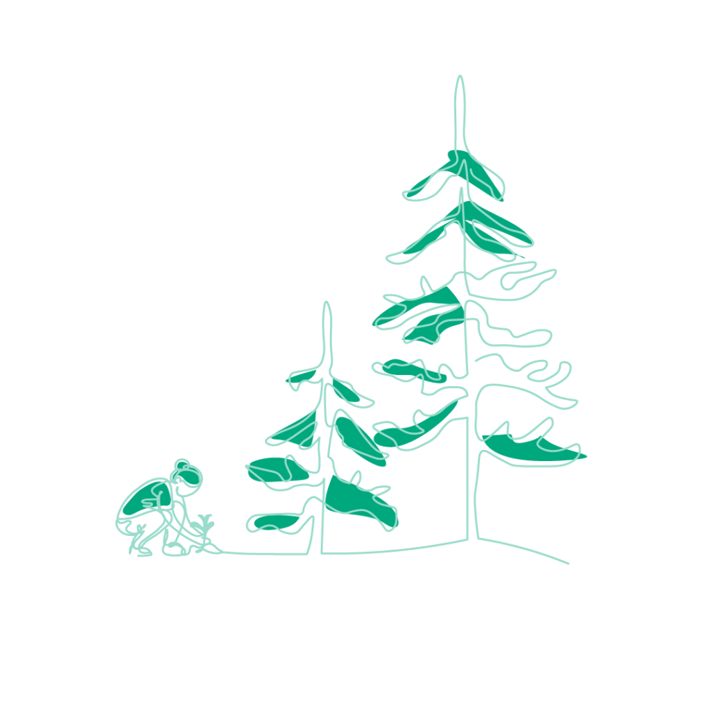 Home - Victoria Wood